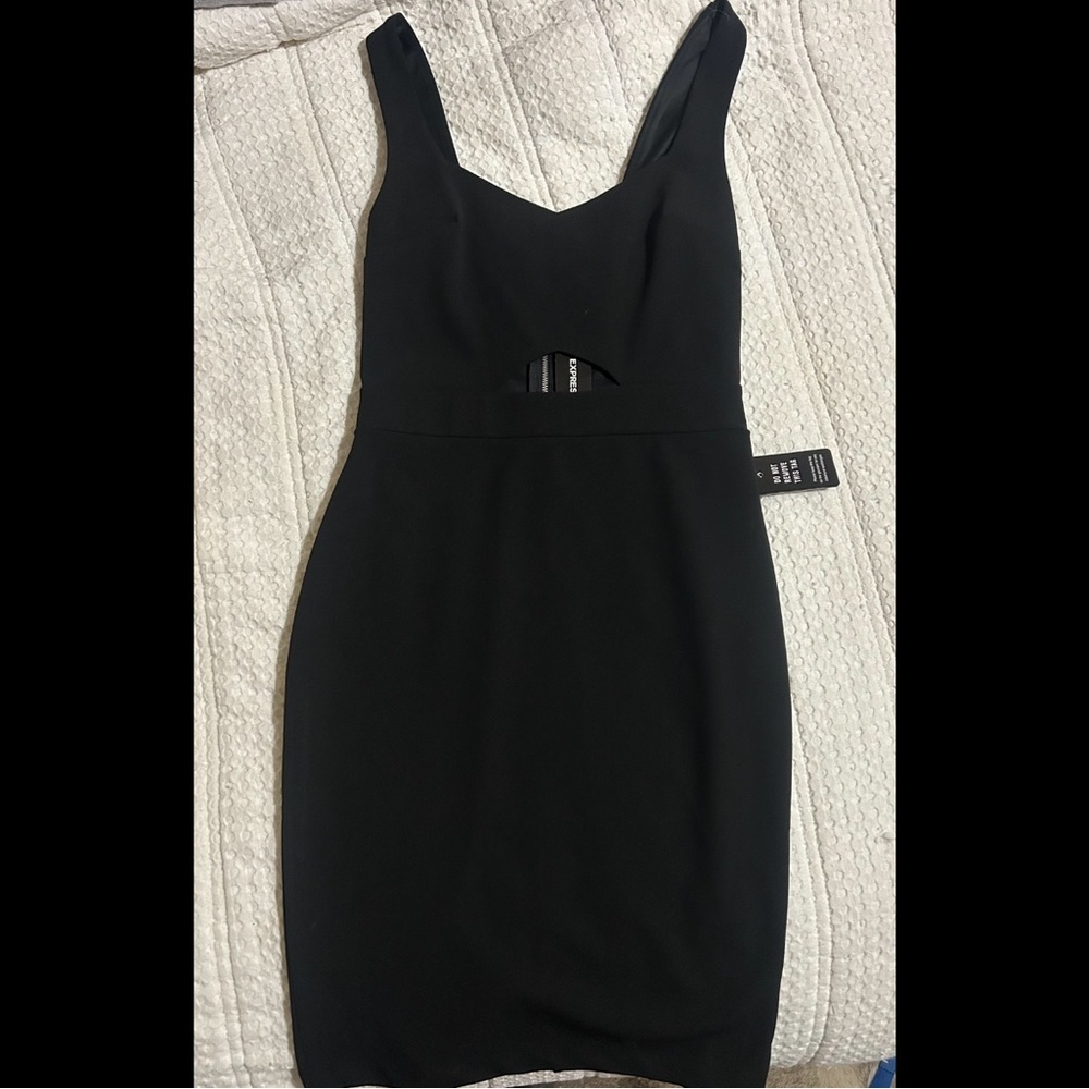 Express Black Mini Dress